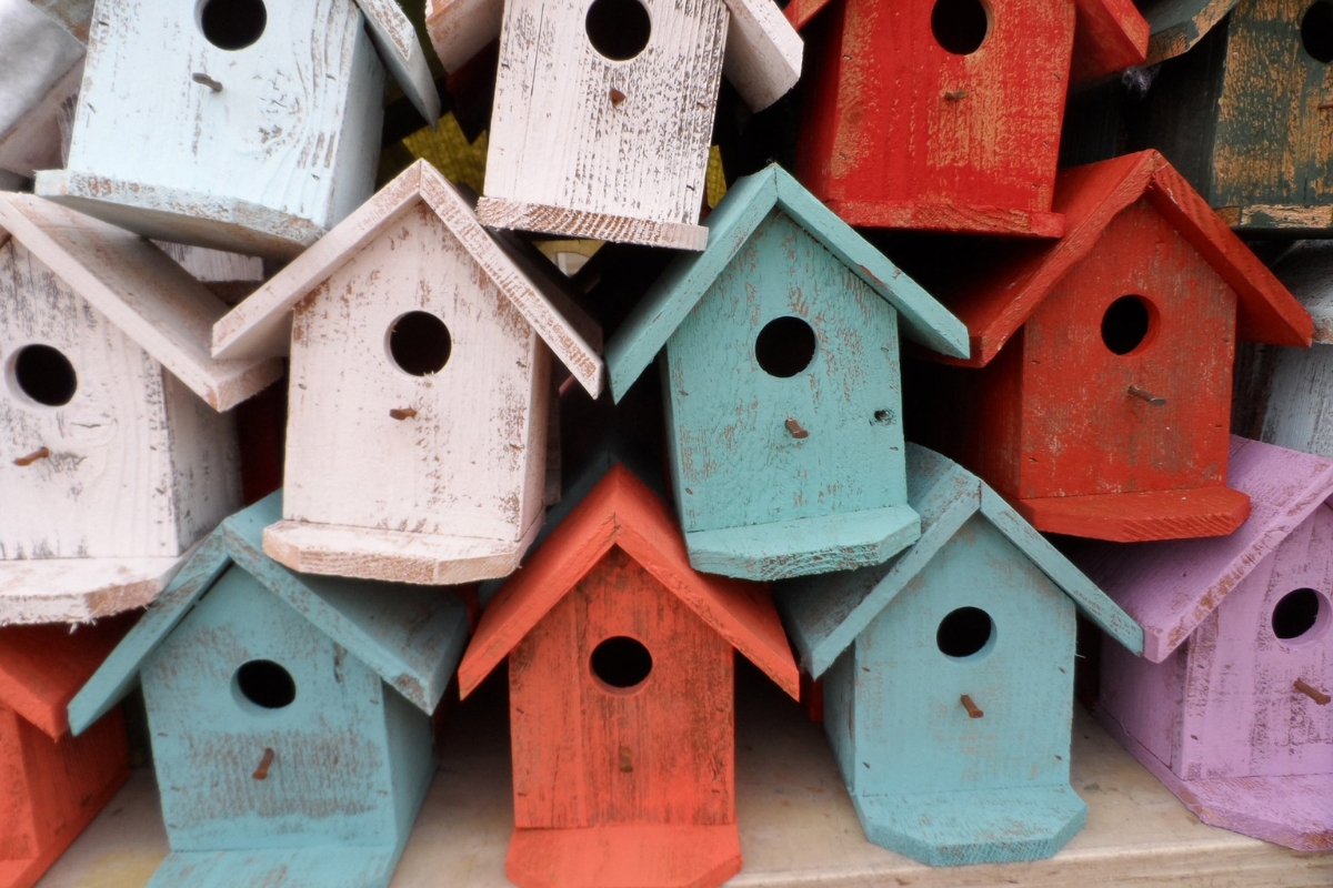 Building birdhouses: A creative activity for the whole family