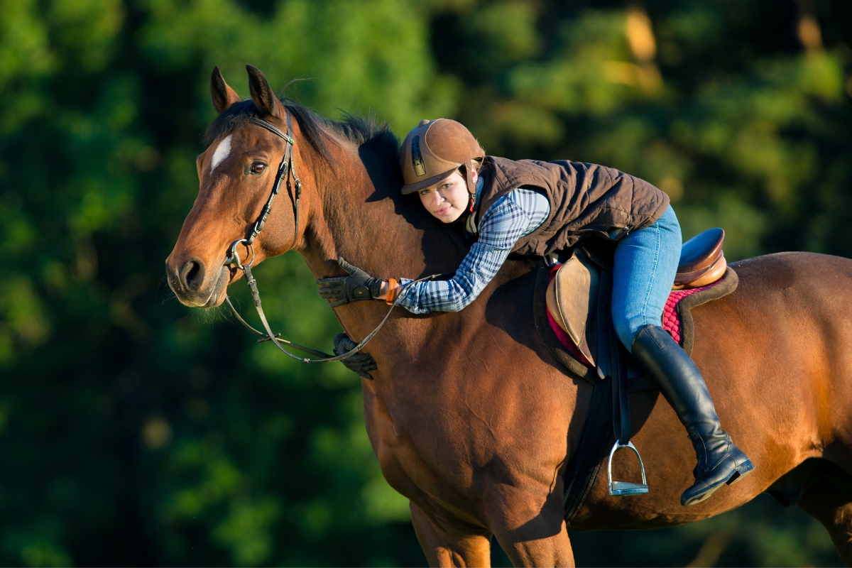 First steps in horseback riding: Basic information about equestrianism and horses