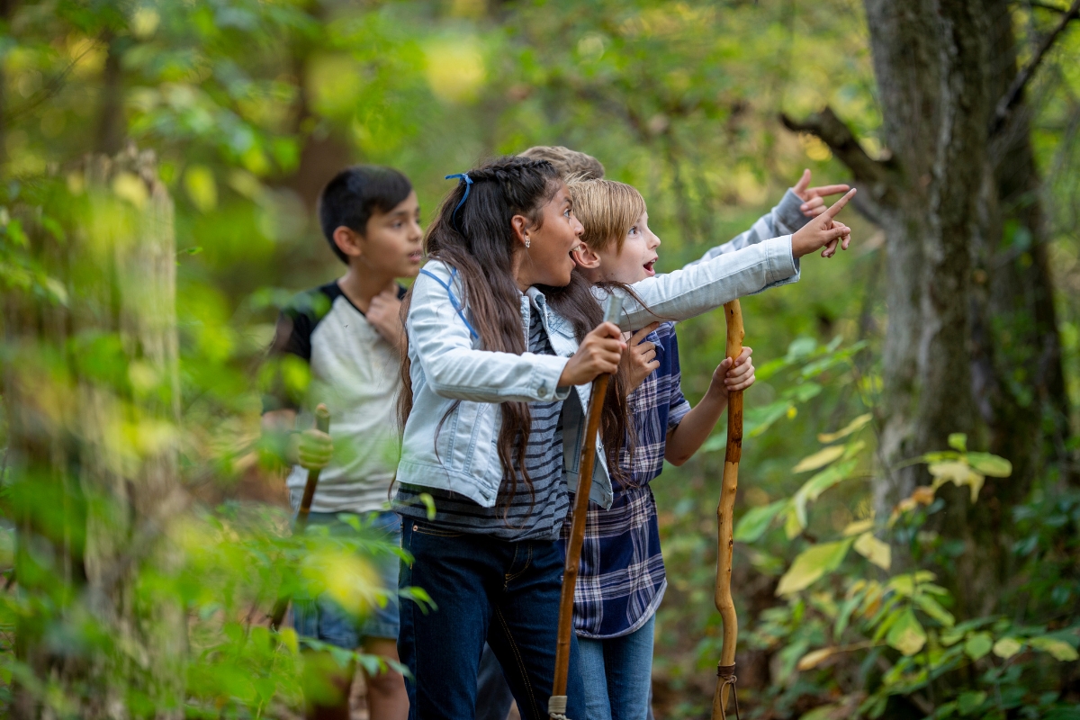 Senderismo en familia: Una guía para la exploración definitiva de la naturaleza