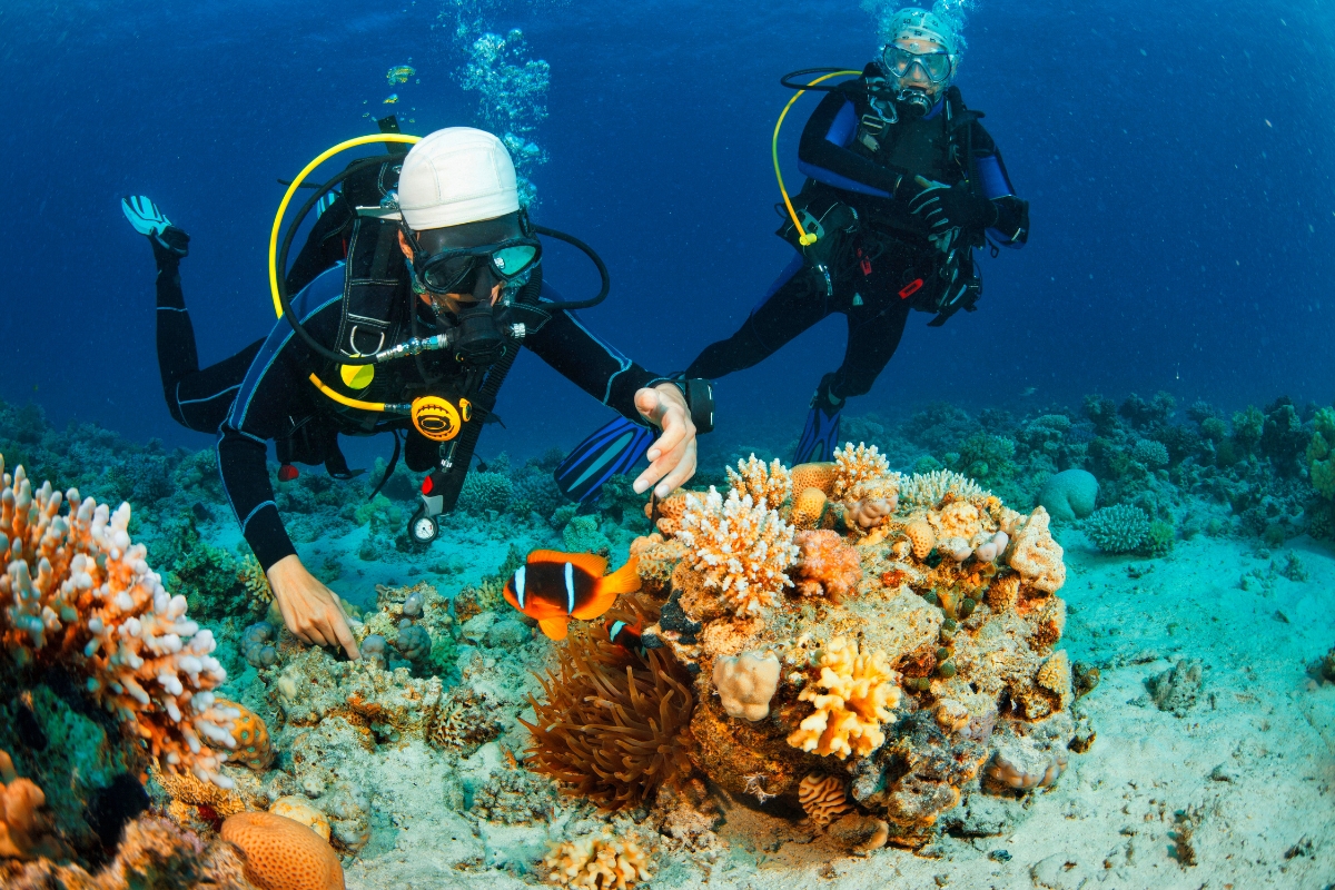 What you need to know before starting scuba diving lessons