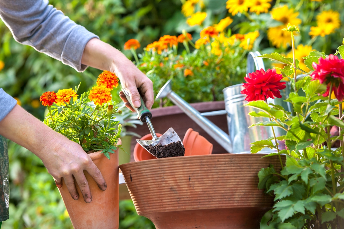 7 things to keep in mind when gardening