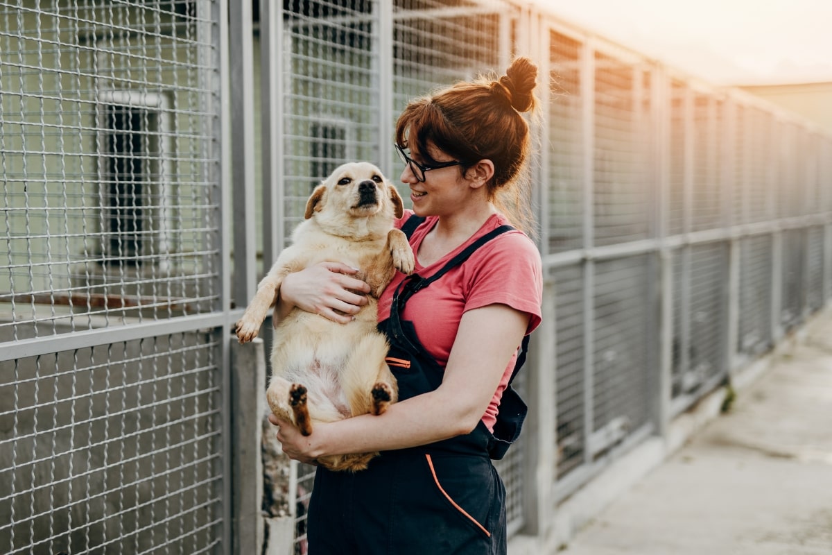 Volunteering at animal shelters: An enriching experience