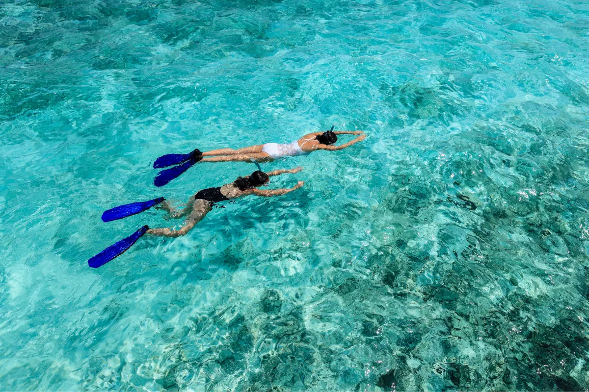 Snorkeling for beginners: A new world beneath the surface